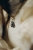 IMG_9134.jpeg